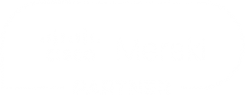 cisco meraki partner